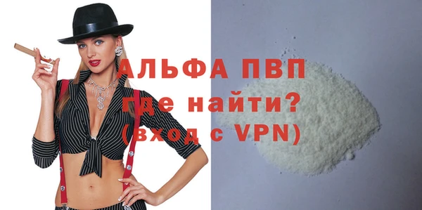 стаф Бородино