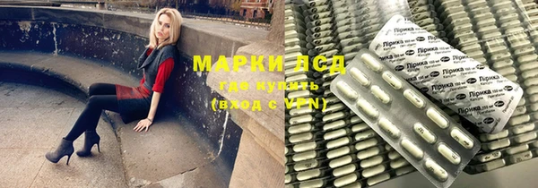 стаф Бородино