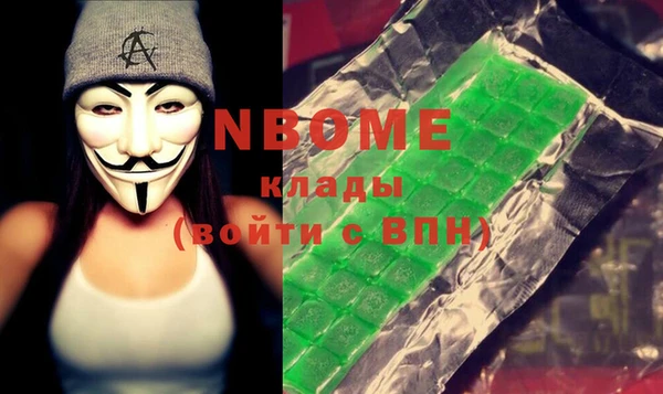 стаф Бородино