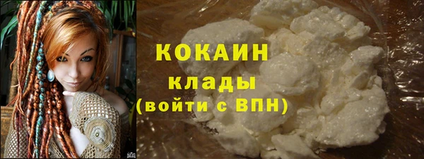 стаф Бородино