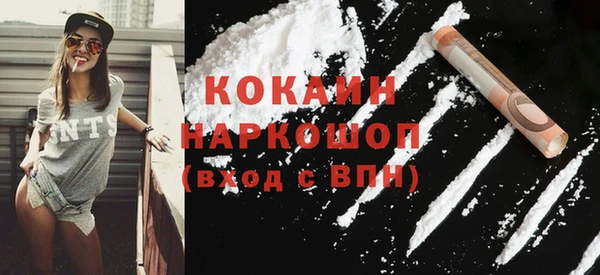 стаф Бородино