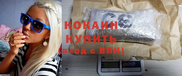 стаф Бородино