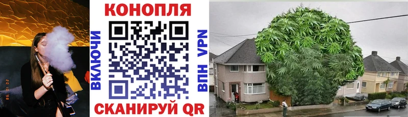 Конопля планчик  наркошоп  Котельнич 